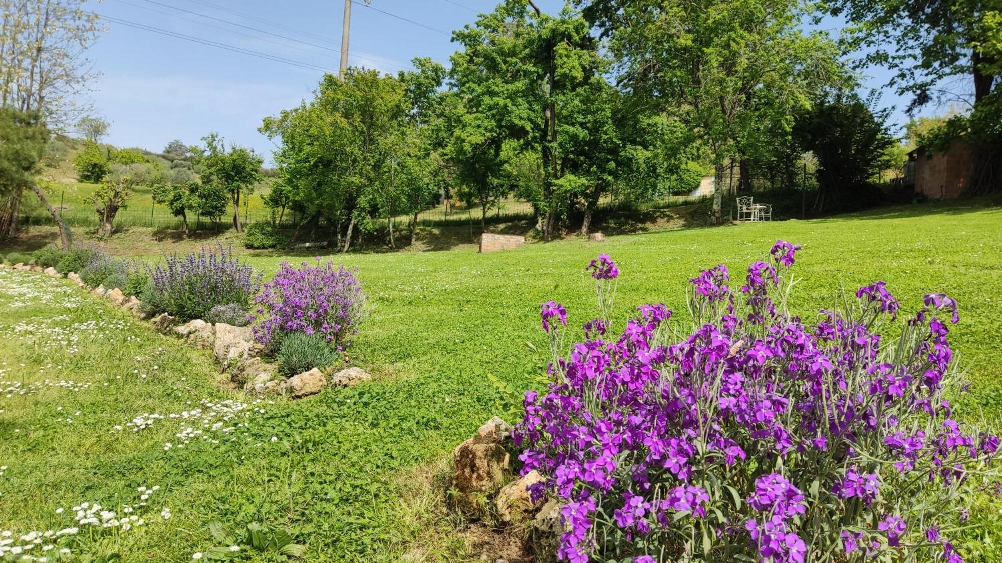 Agriturismo Le Grondaie Siena Exteriér fotografie